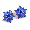 True Love Earrings Pierced ~ Blue